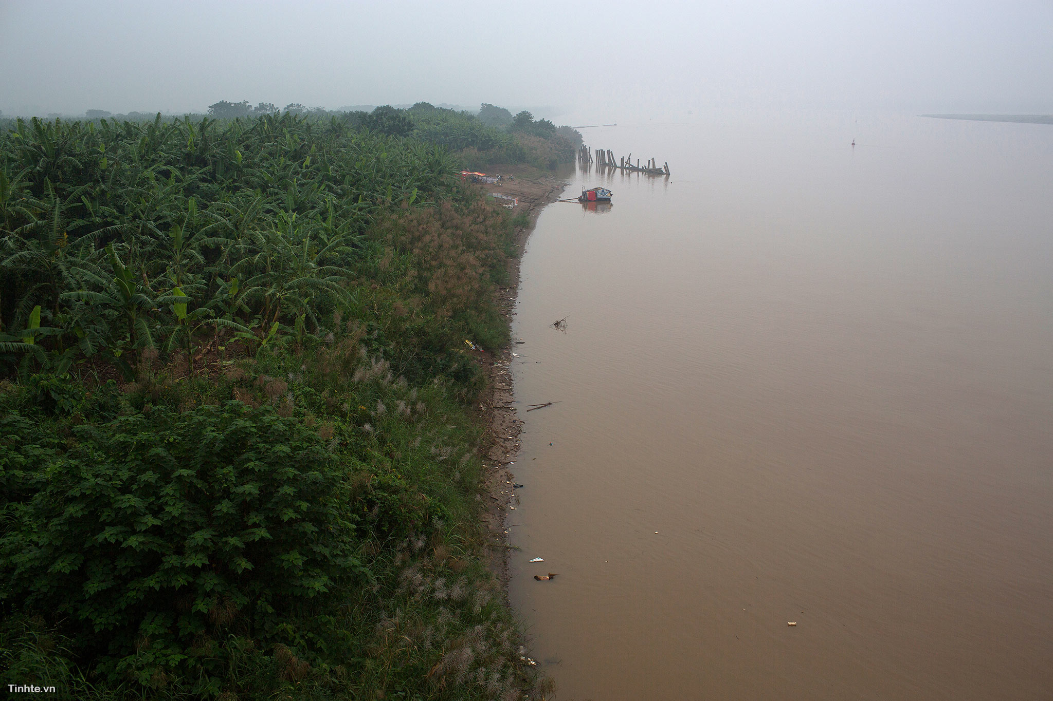 Thanh-Thuy-(1).jpg