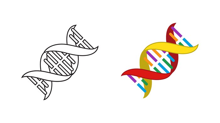 Áp Phích Thông Tin Dna Helix Phác Thảo Bàn Tay Vẽ Hình minh họa Sẵn có   Tải xuống Hình ảnh Ngay bây giờ  Gia phả học ADN Công nghệ nano  iStock