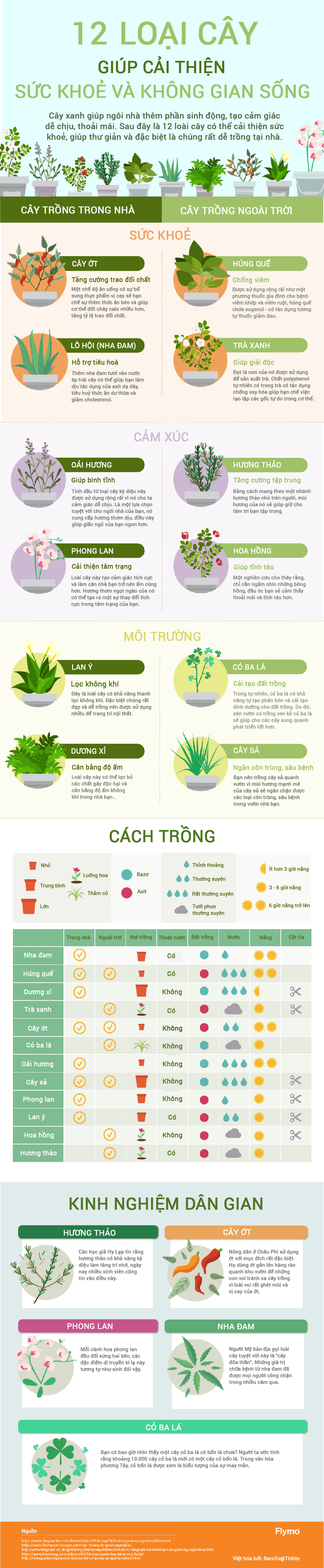 Nguồn: Internet