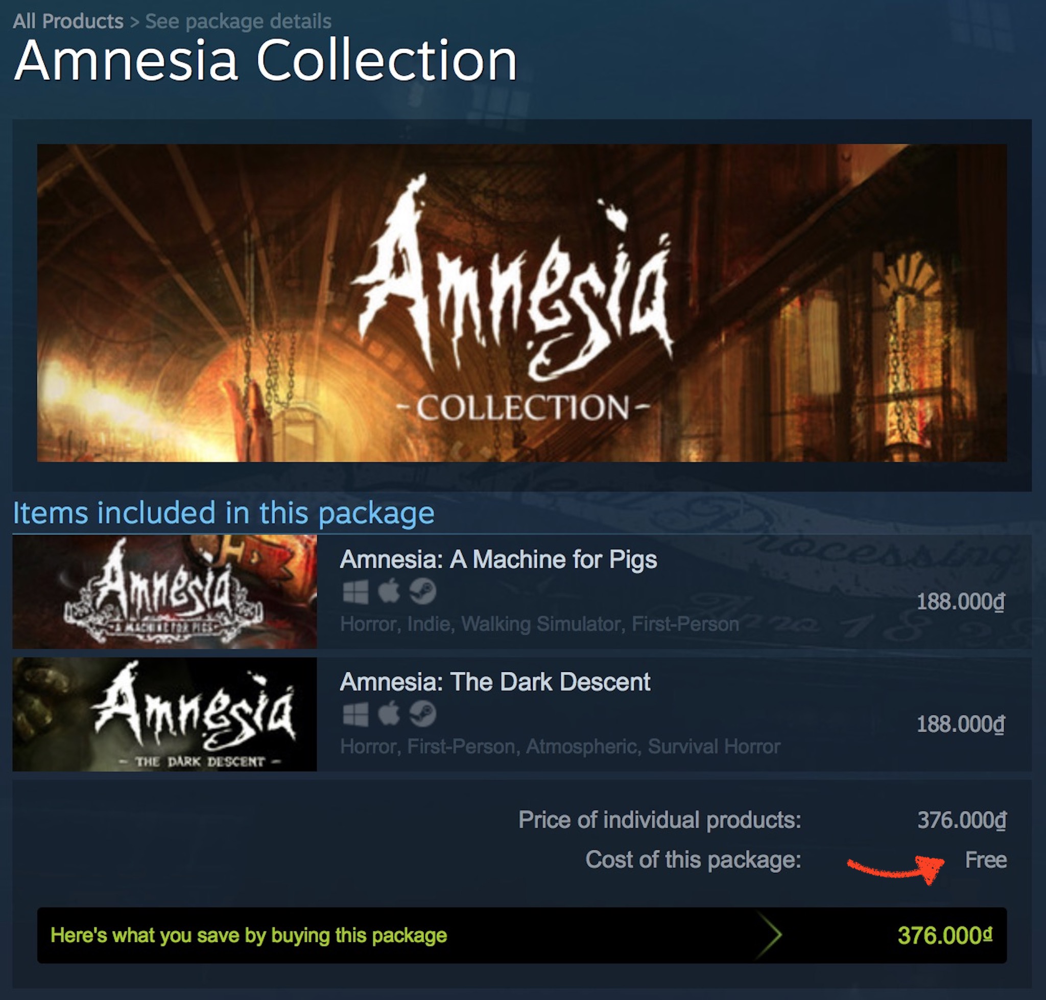 Amnesia collection steam (119) фото