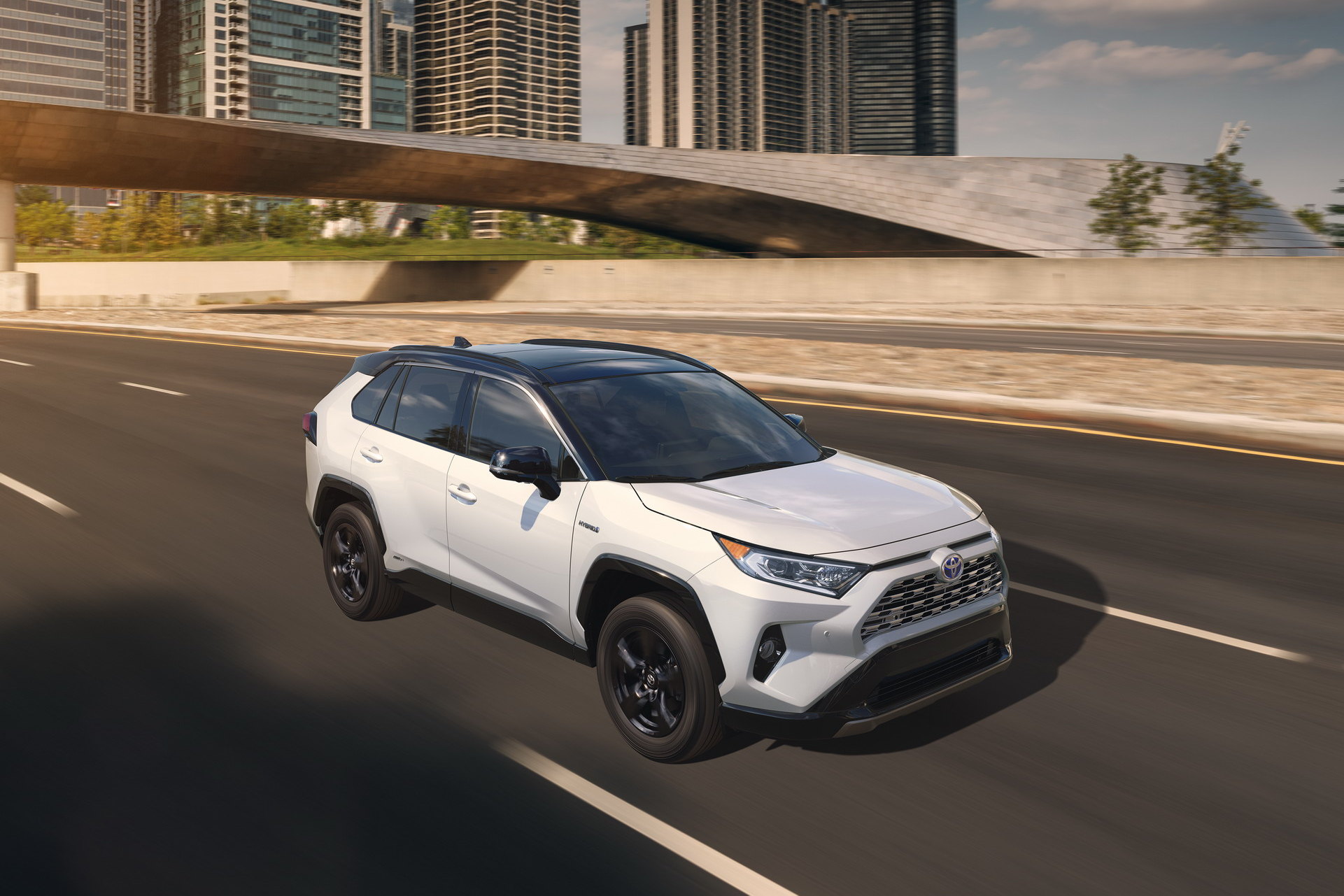 2019-Toyota-RAV4-20.jpg