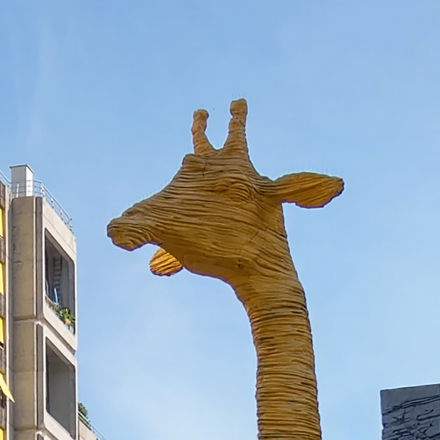 giraffe_artifact_crop.jpg