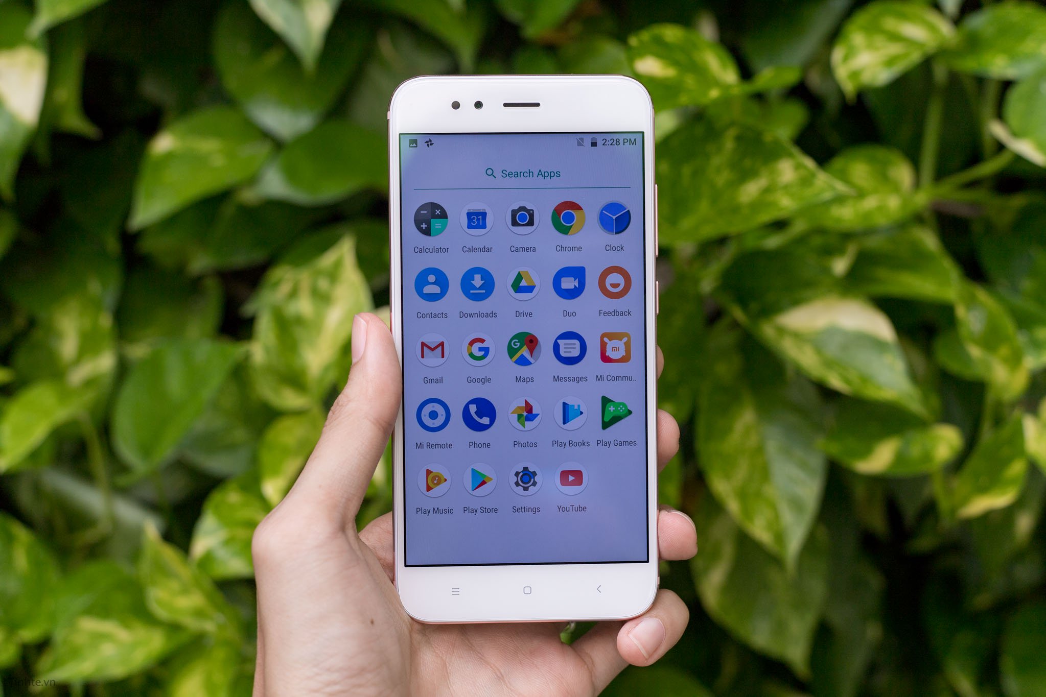 Xiaomi_mi_a1.jpg