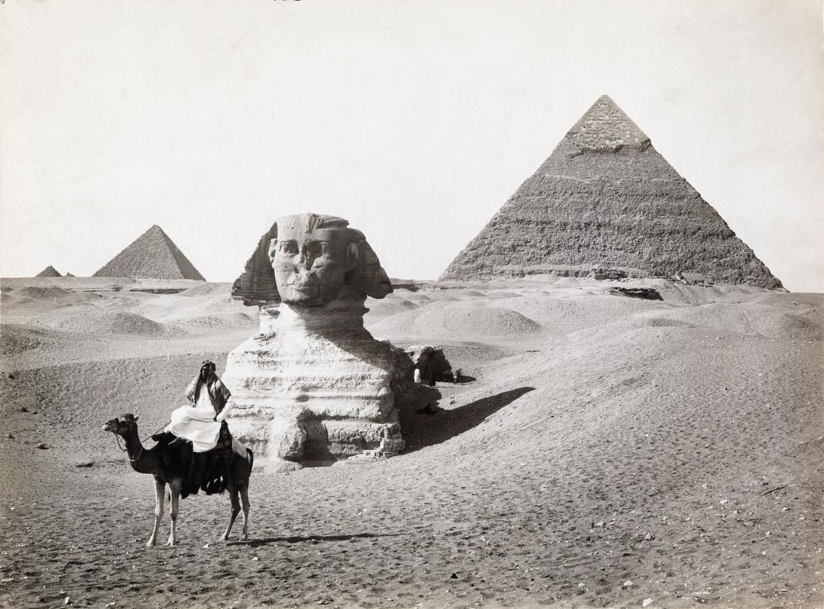 13-camel-giza-pyramid.adapt.1190.1.jpg