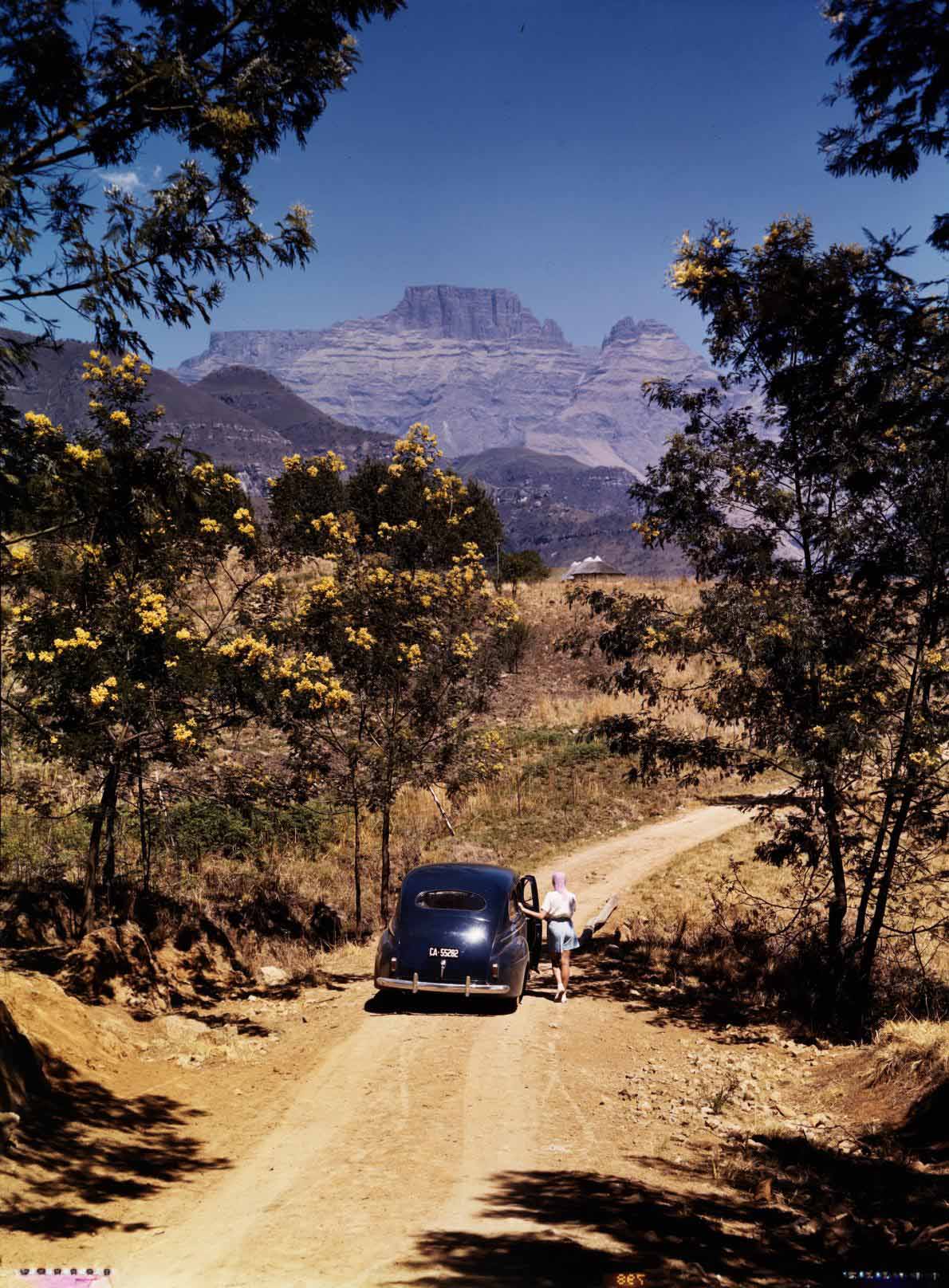 38-africa-road-trip-view.adapt.1190.1.jpg