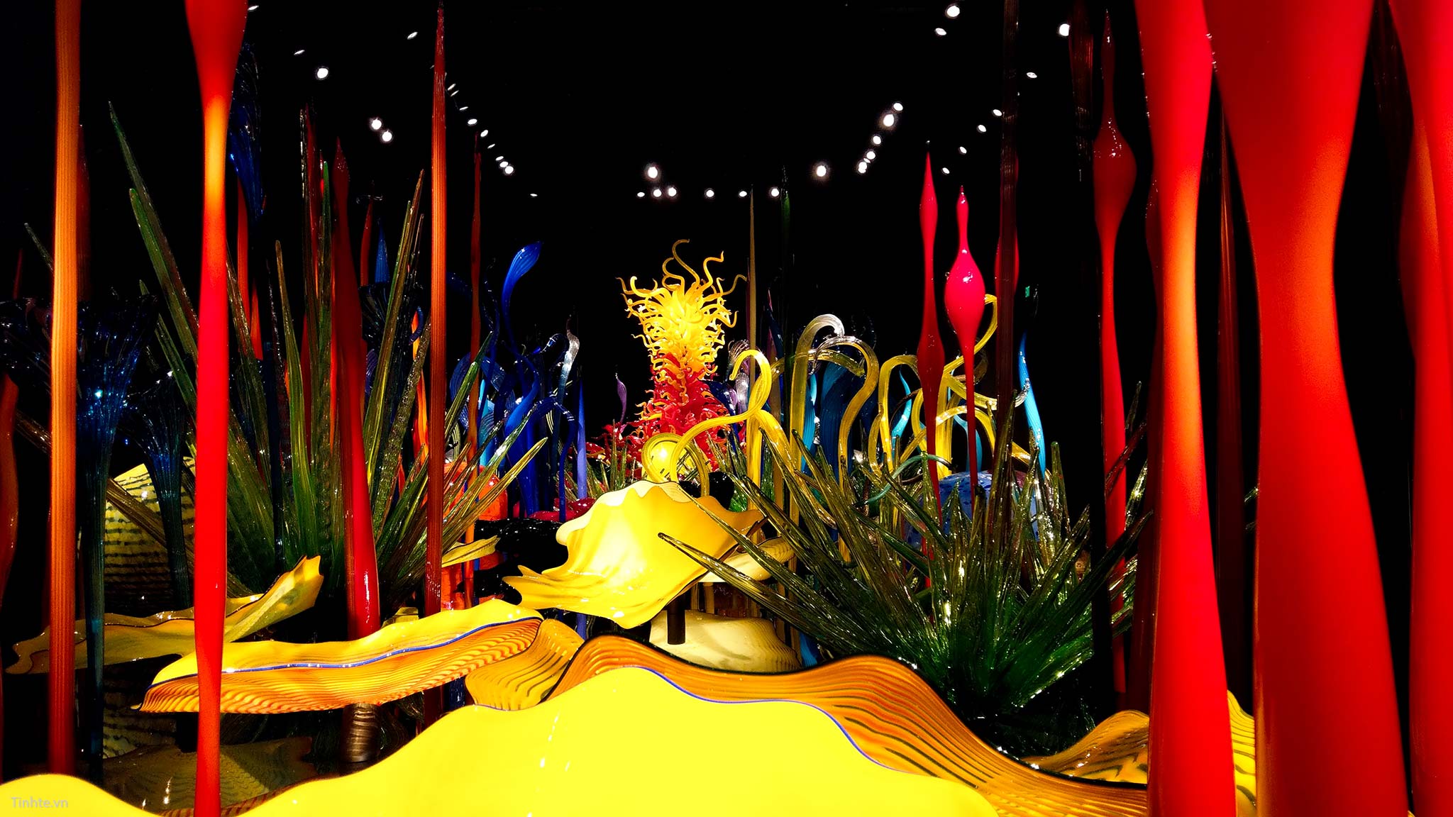 Chihuly Garden (23).jpg