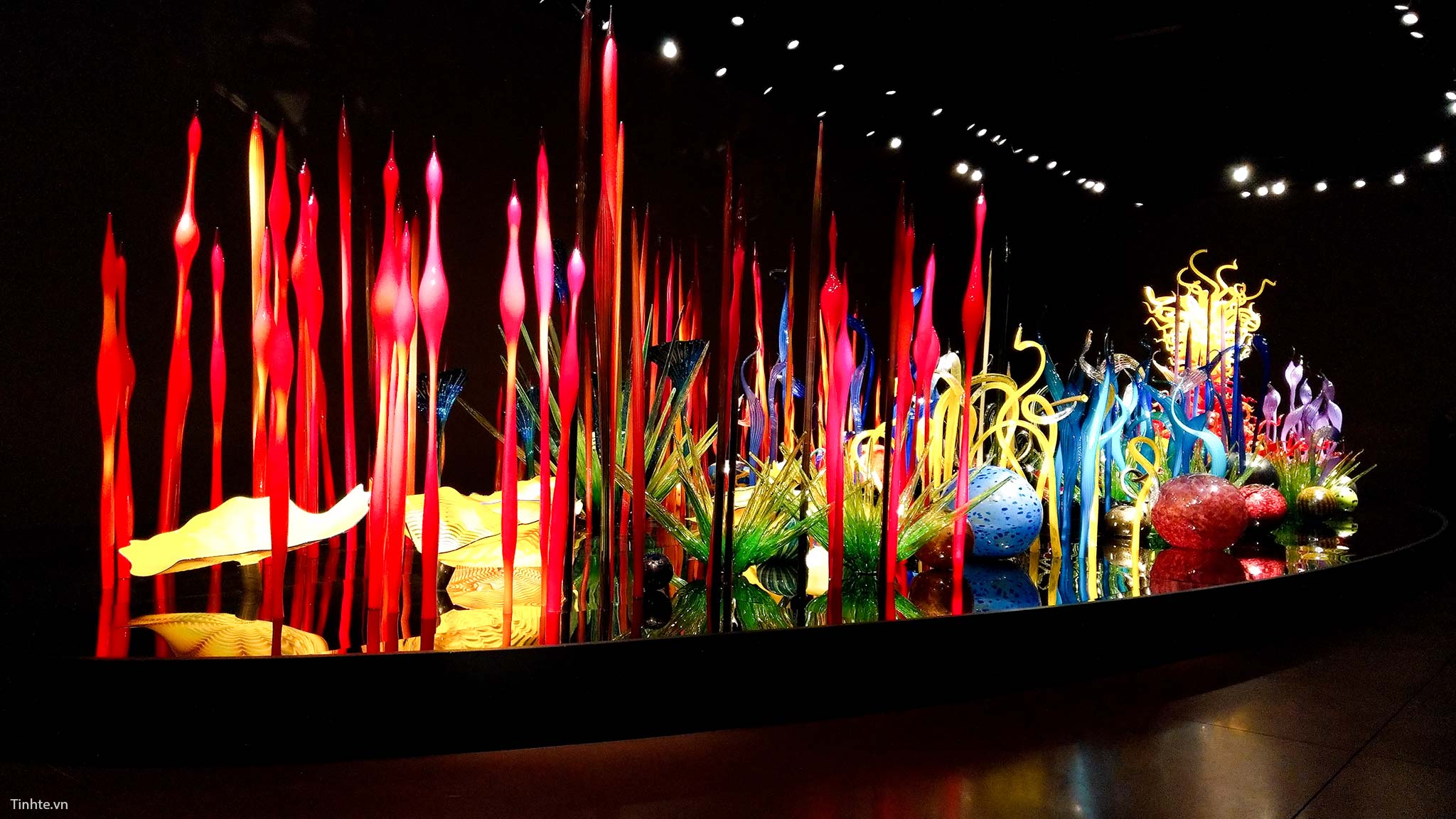 Chihuly Garden (22).jpg