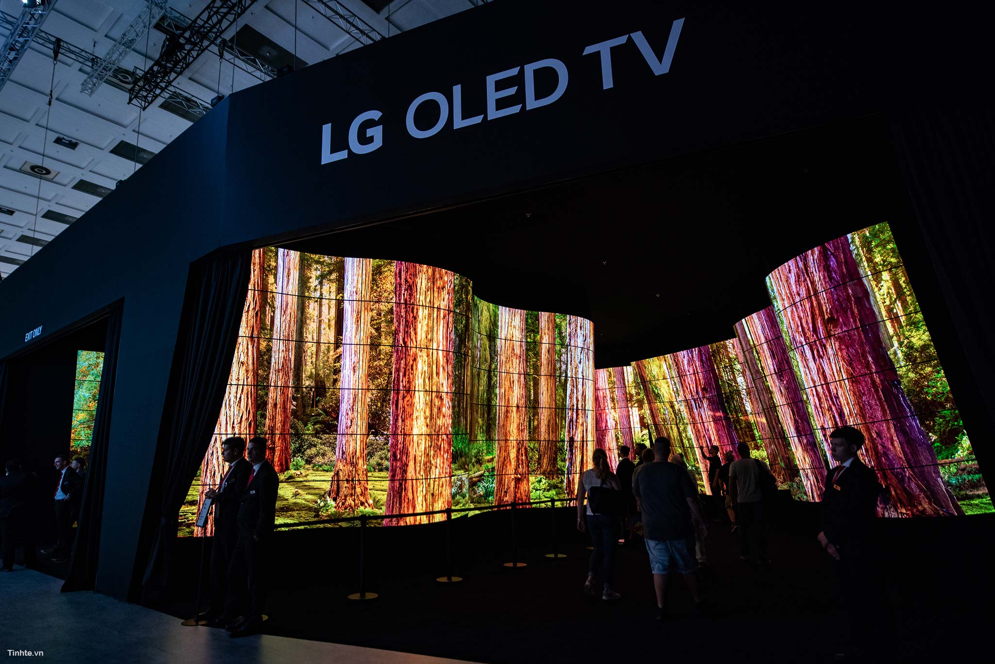 LG_OLED_CANYON.jpg