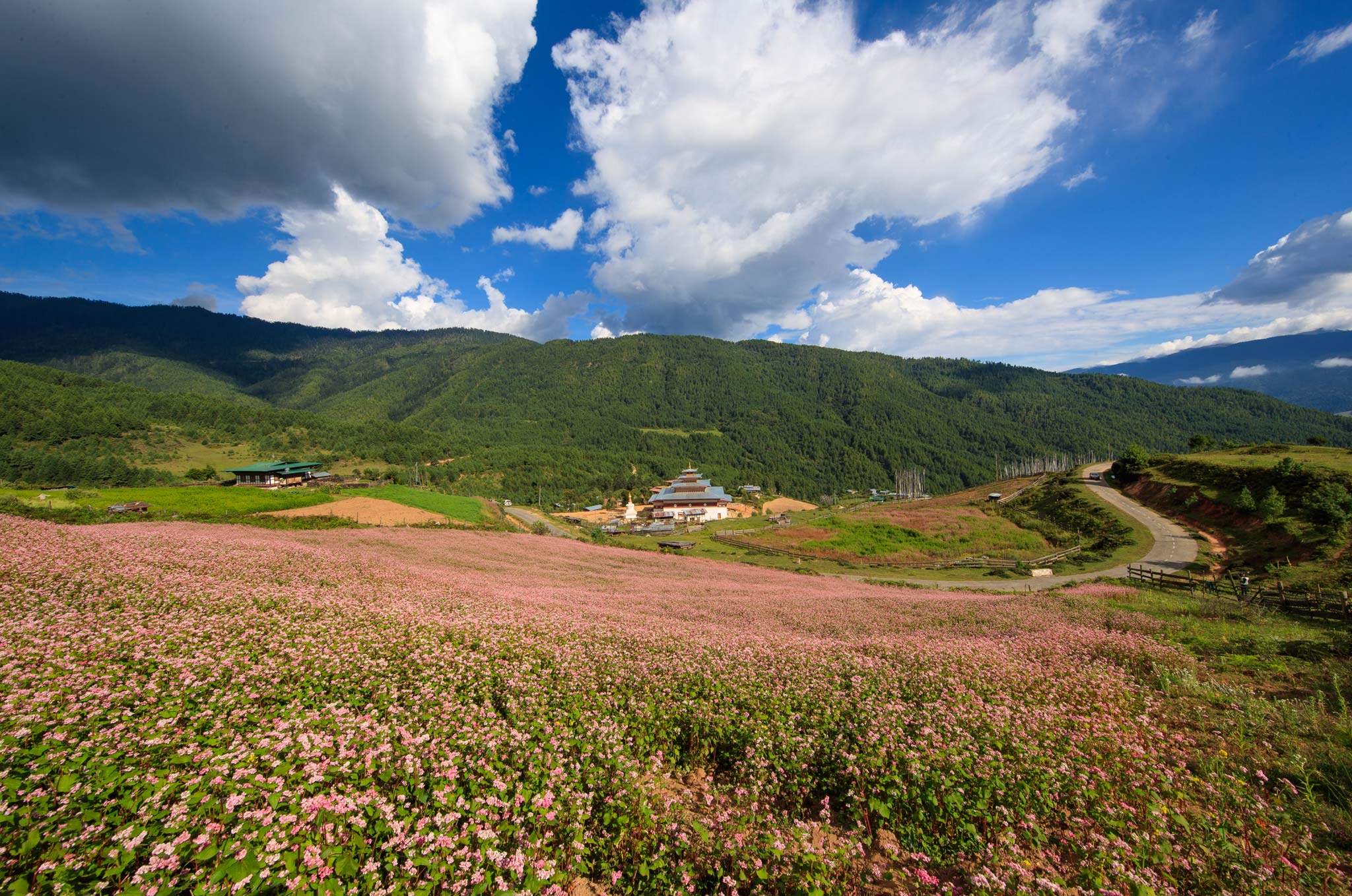 Sắc-Hạ-(Thung-lũng-Ura-miền-Trung-Bhutan)-.jpg