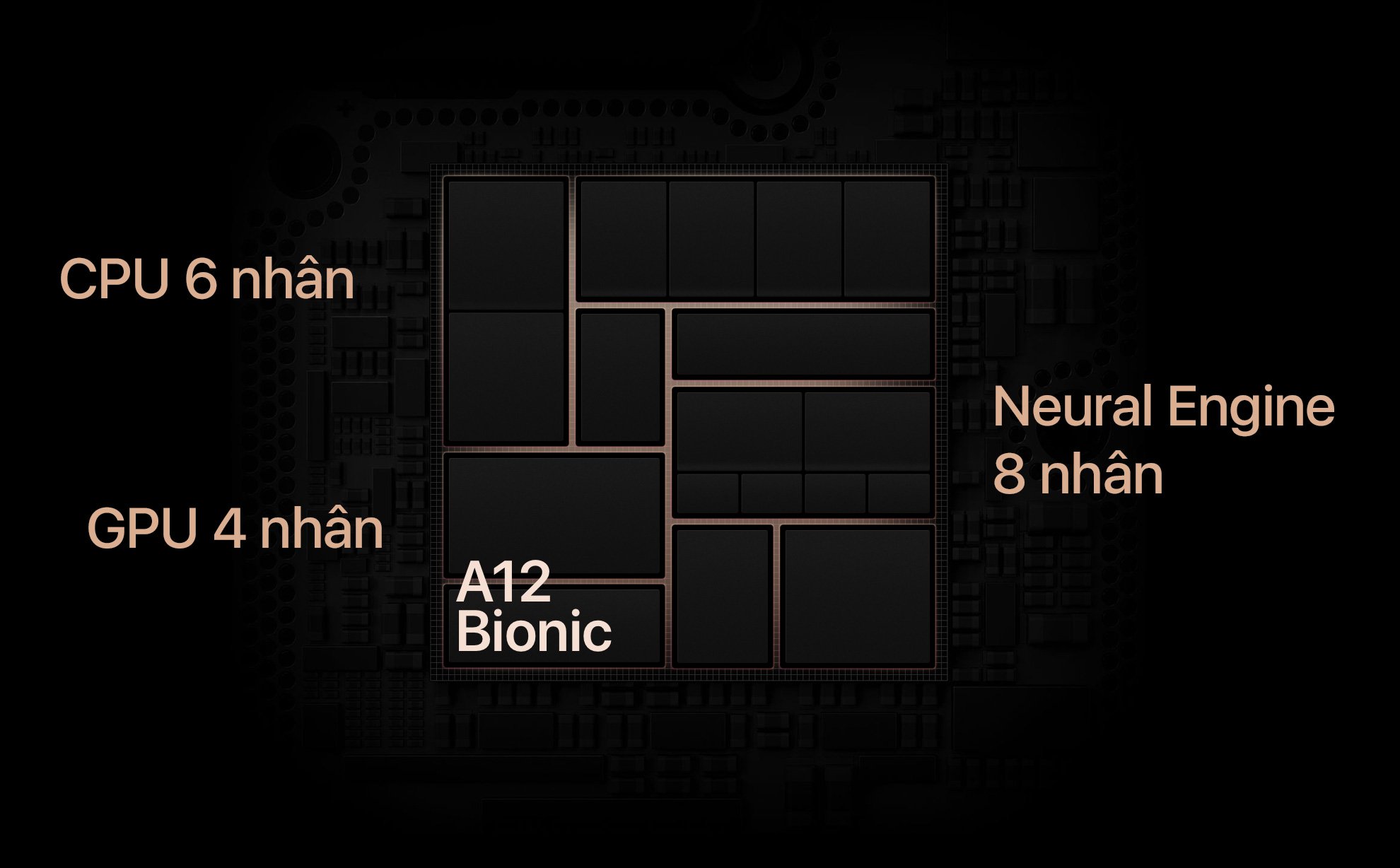 Apple_A12_Bionic.jpg