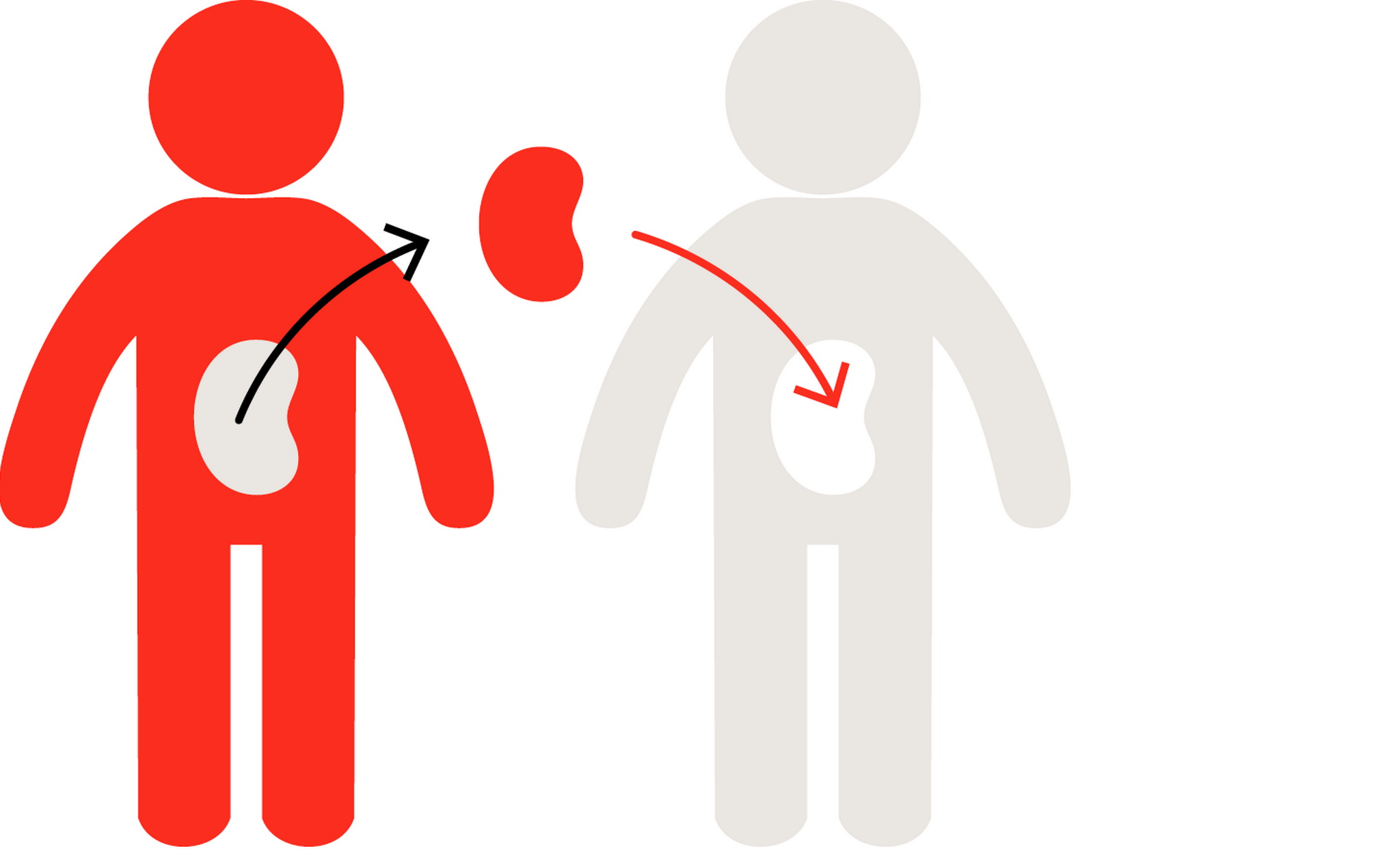 Các quyền lợi và yêu cầu cần có khi chúng ta quyết định hiến tạng
