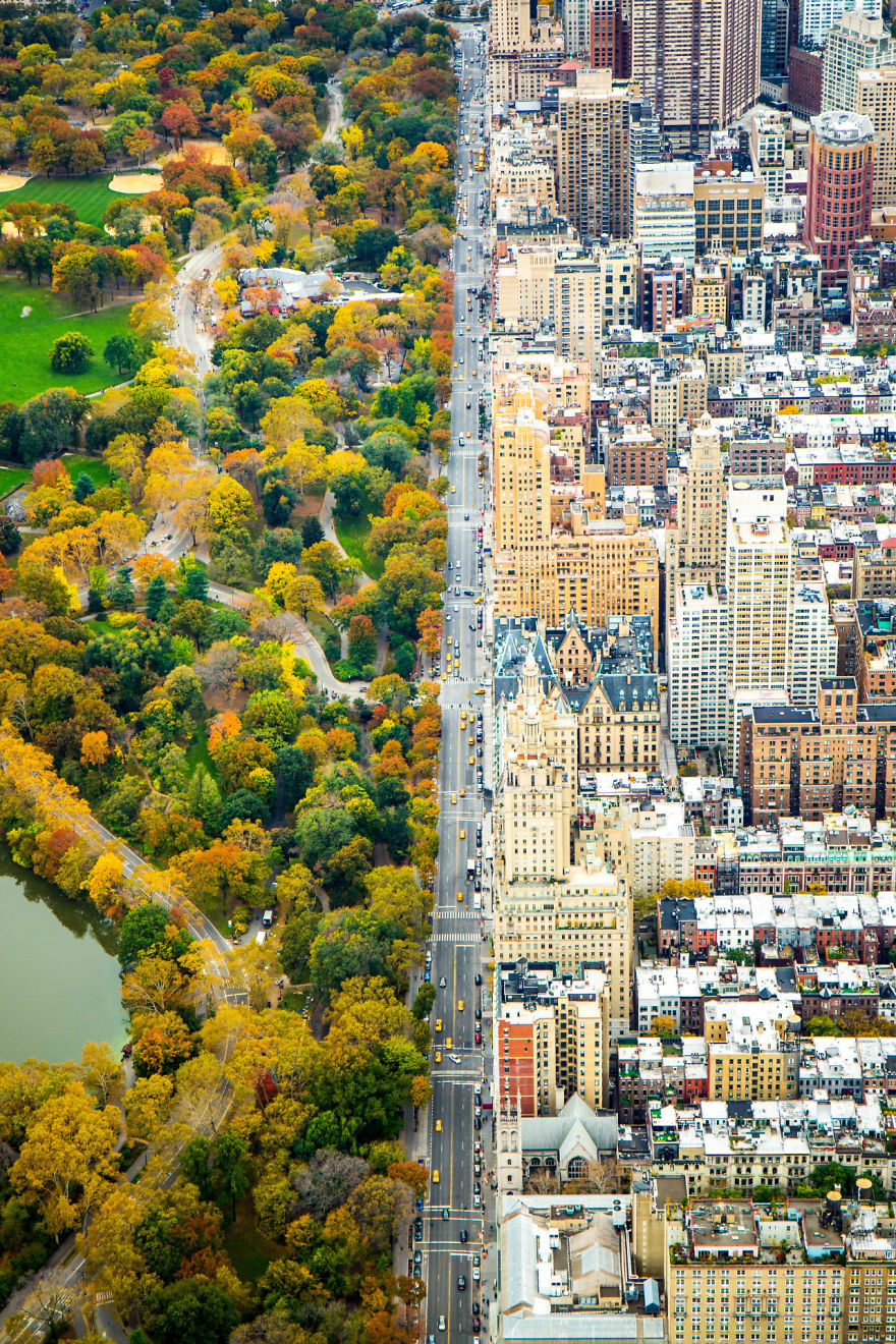 central-park-contrast-new-york-city-2__880.jpg