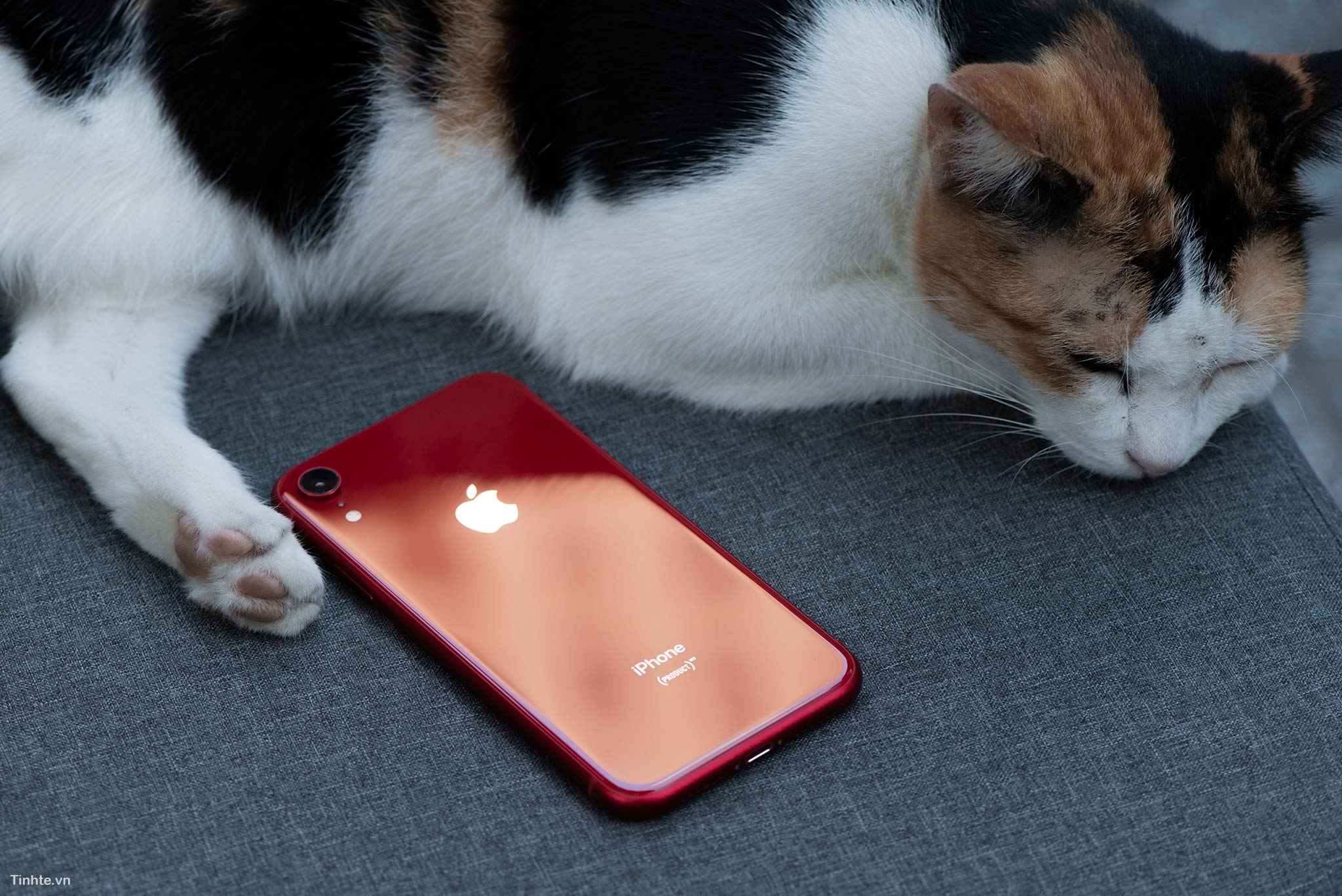 tinhte_tren_tay_iphone_xr_product_red_19.jpg