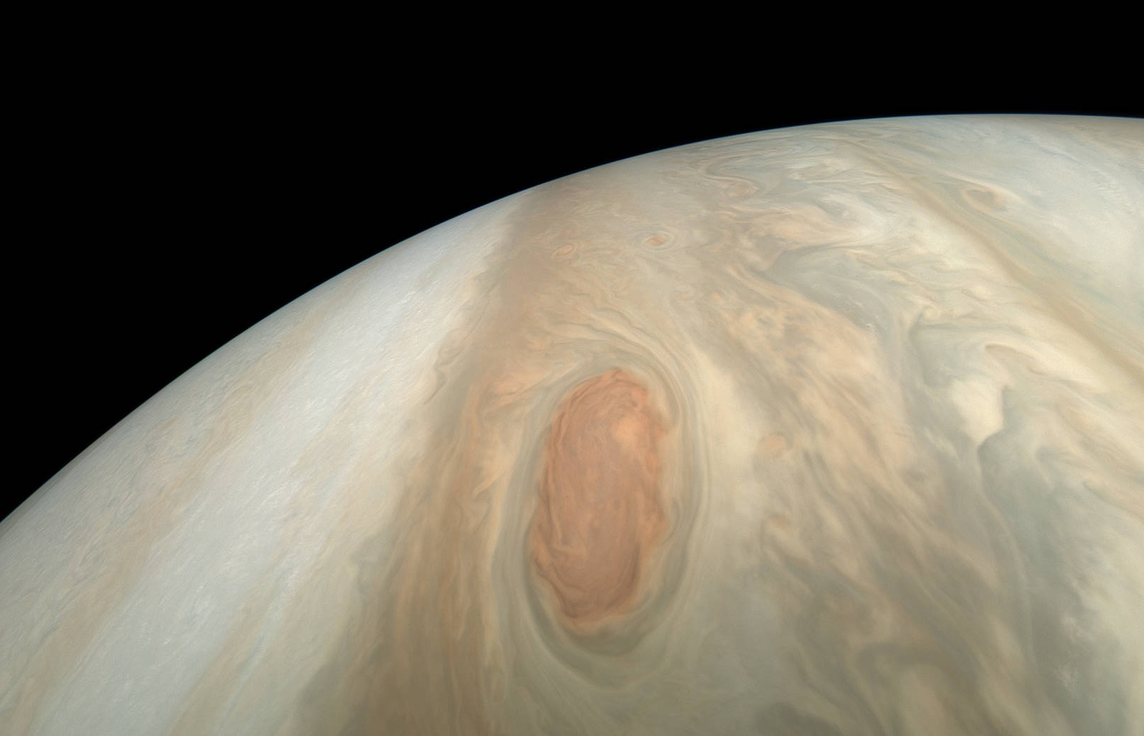 Juno-natural.jpg