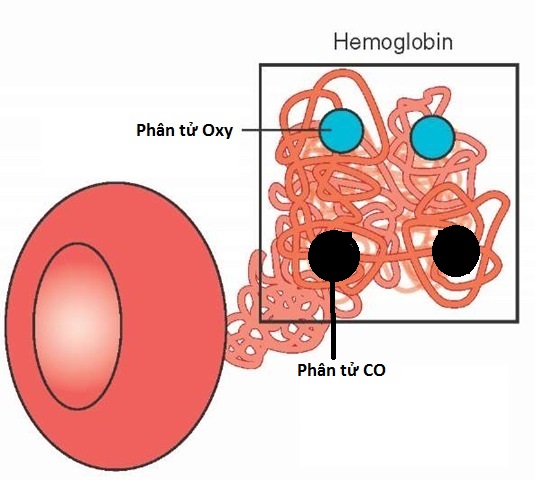 CO2.jpg