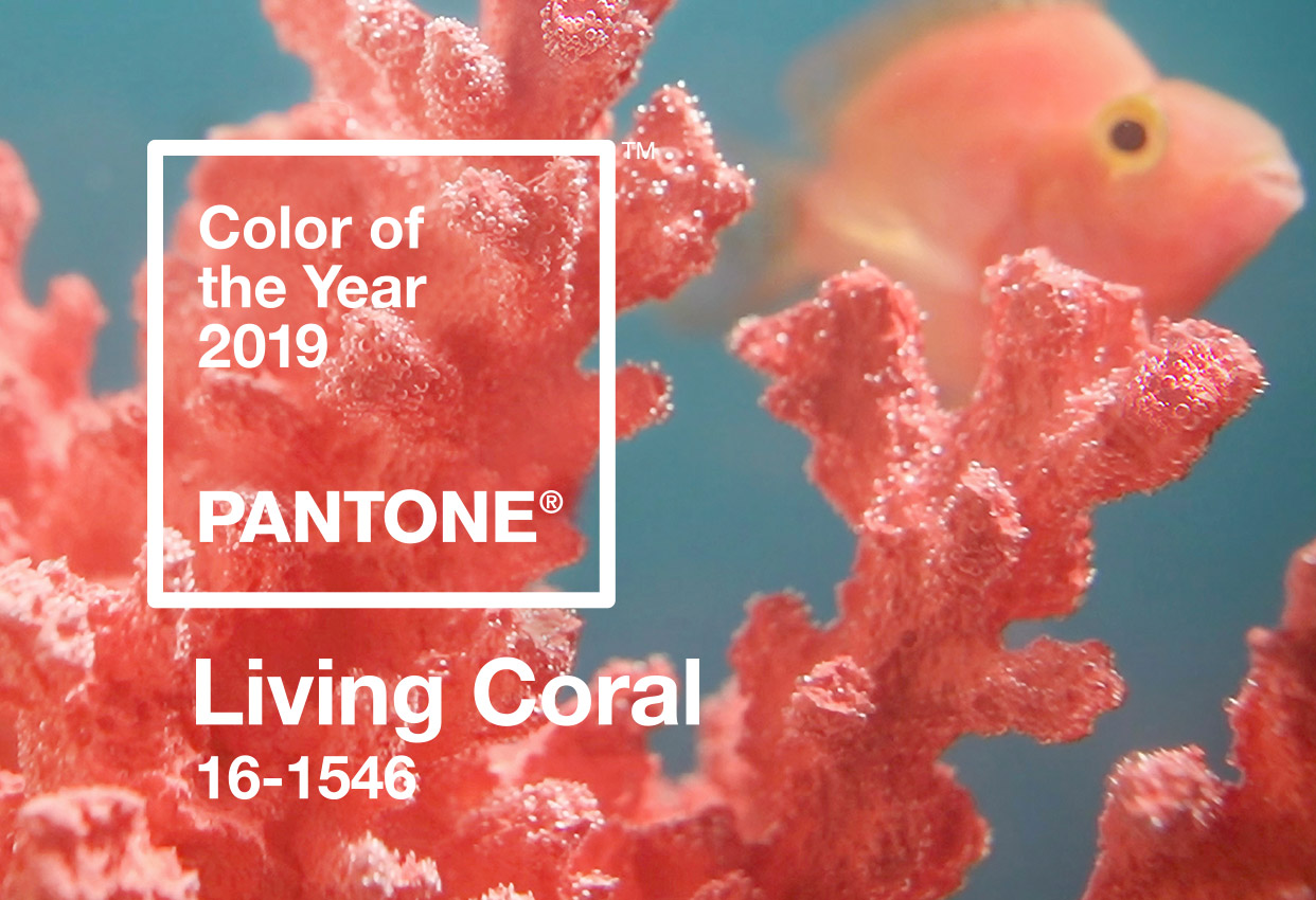 pantone_2019_coral_Tinhte_16.jpg