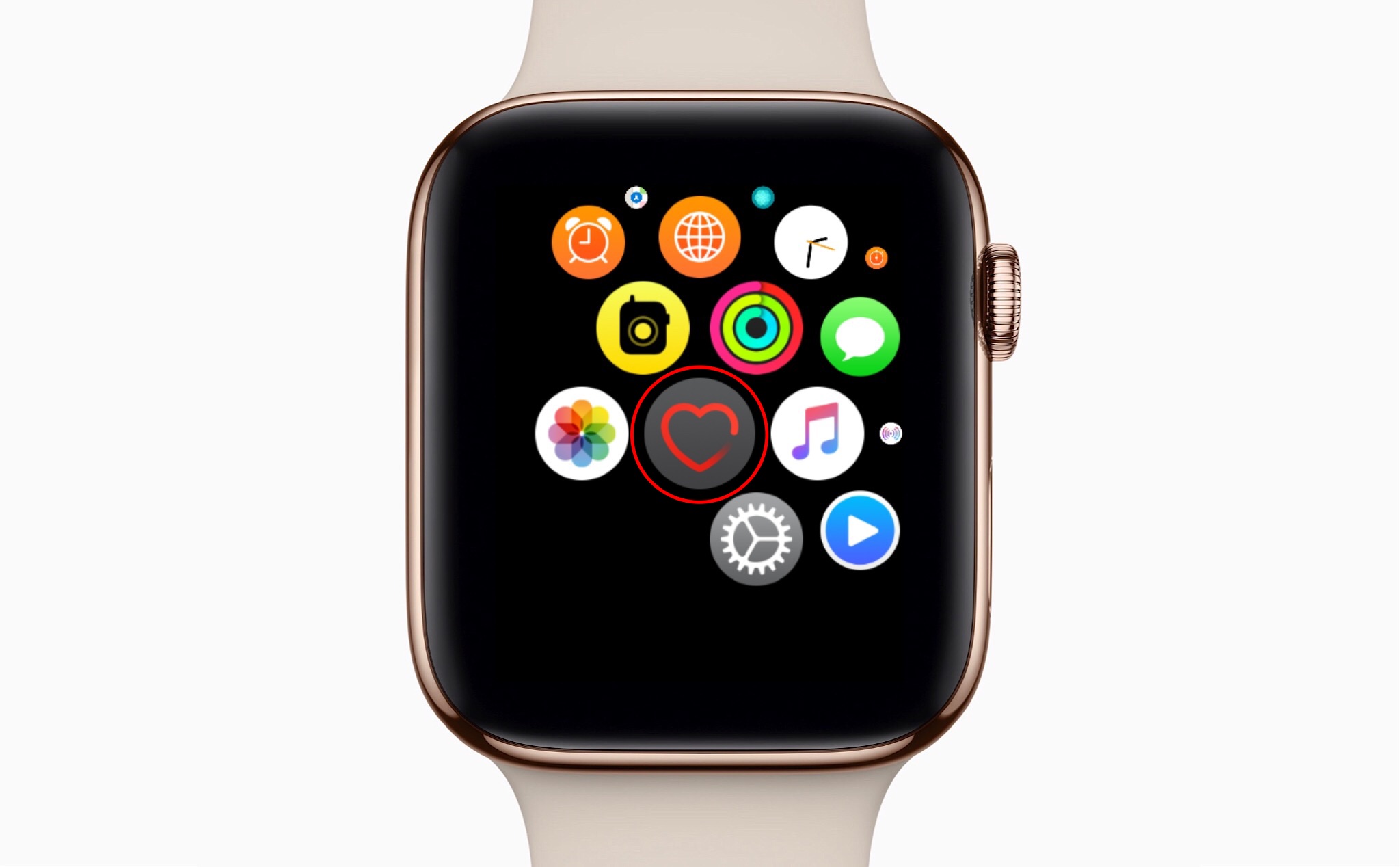 tinhte_apple_watch_series_4_do_nhip_tim_2.JPG