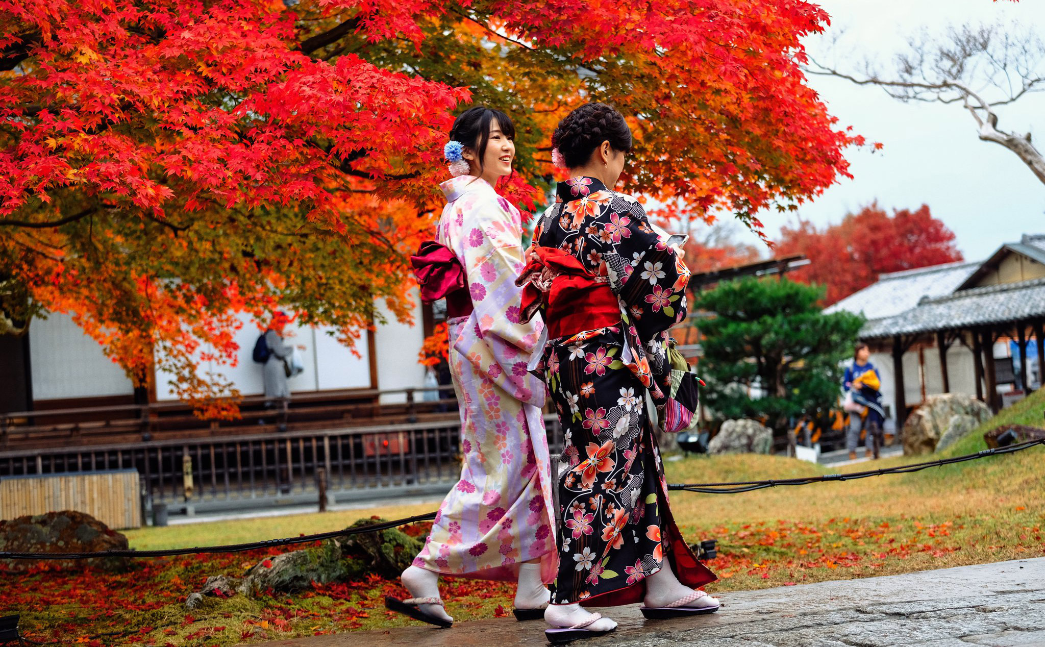 Chia sẻ kinh nghiệm du lịch Nhật Bản tự túc