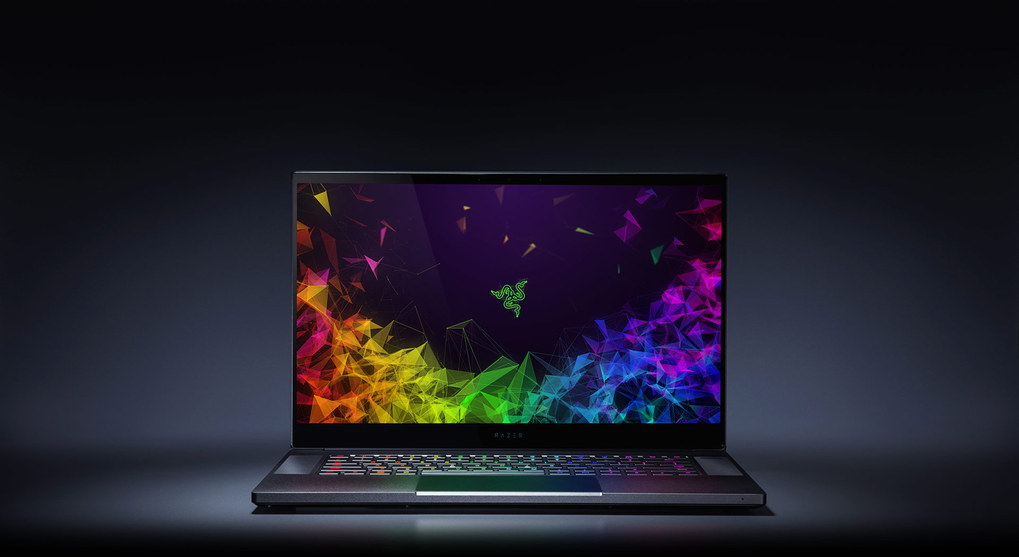 Razer Blade 15 display.jpg