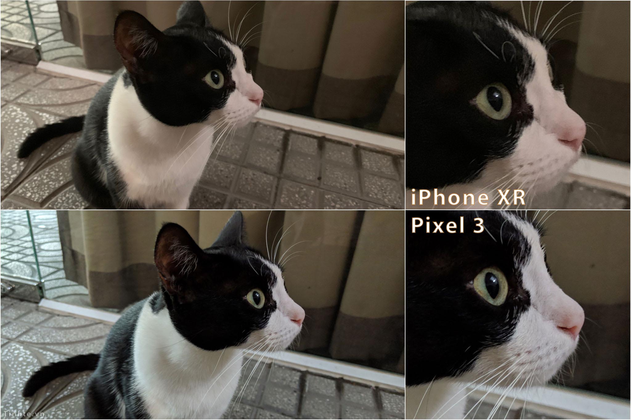 tinhte_so_sanh_camera_apple_iphone_xr_google_pixel_3_6.jpg