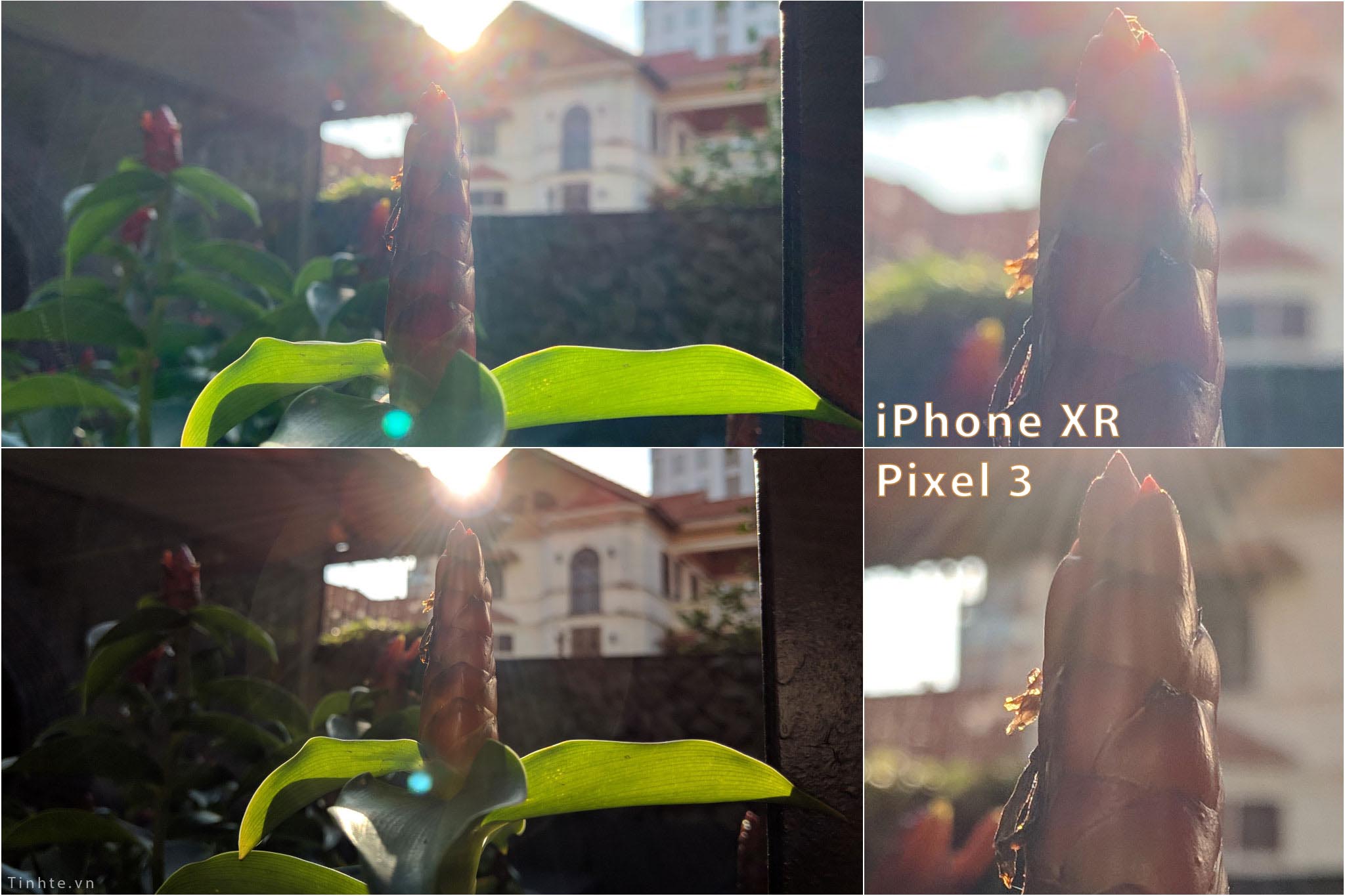tinhte_so_sanh_camera_apple_iphone_xr_google_pixel_3_18.jpg