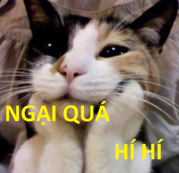 cat ngại.png