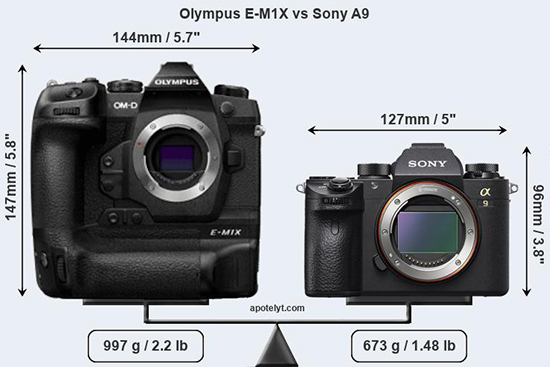 Olympus-E-M1X-vs-SonyA9-comparison3.jpg
