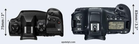 Olympus-E-M1X-vs-Canon-1D-X-Mark-II-comparison4.jpg