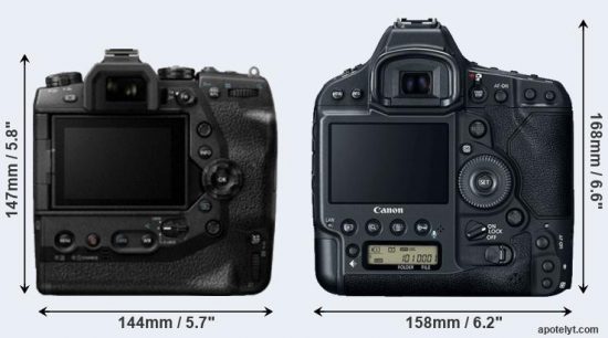 Olympus-E-M1X-vs-Canon-1D-X-Mark-II-comparison3.jpg