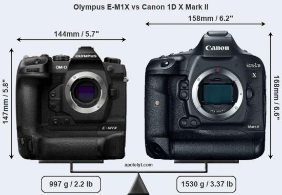 Olympus-E-M1X-vs-Canon-1D-X-Mark-II-comparison2.jpg