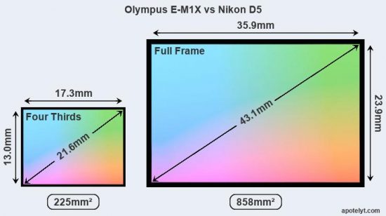 olympus-e-m1-x-vs-nikon-d5-sensor.jpg