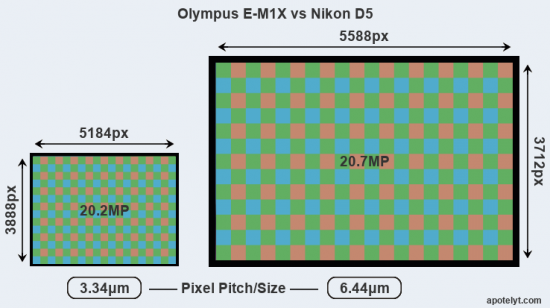 olympus-e-m1-x-vs-nikon-d5-resolution.png