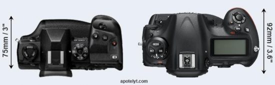 Olympus-E-M1X-vs-Nikon-D5-comparison1.jpg