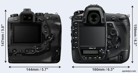 Olympus-E-M1X-vs-Nikon-D5-comparison2.jpg