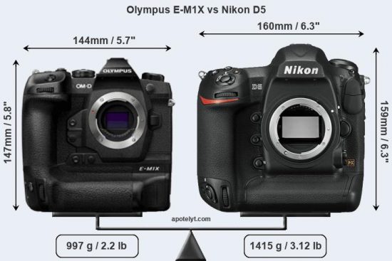 Olympus-E-M1X-vs-Nikon-D5-comparison3.jpg