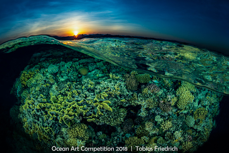 02 -Reefscapes_Tobias_Friedrich_SUNSPLIT.jpg