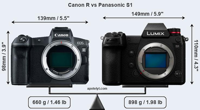 canon-r-vs-panasonic-s-1-front-a.jpg