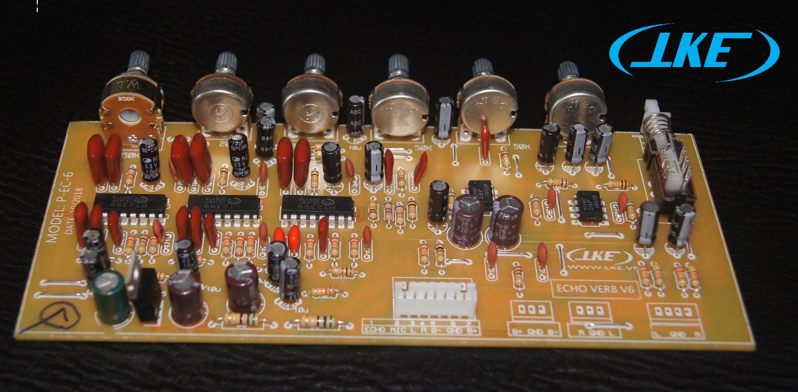 BOARD MẠCH ECHO REVERB V6 2.jpg