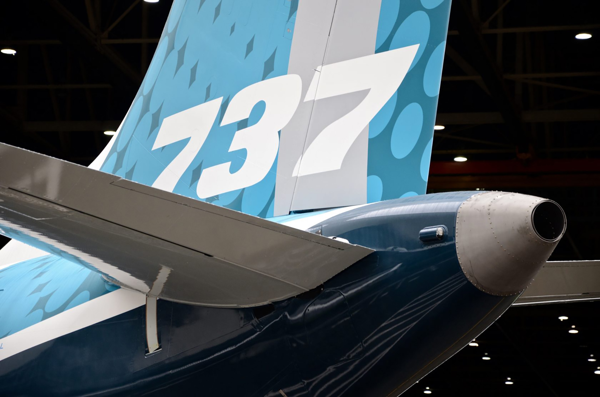 737 Max stabilizer.jpg