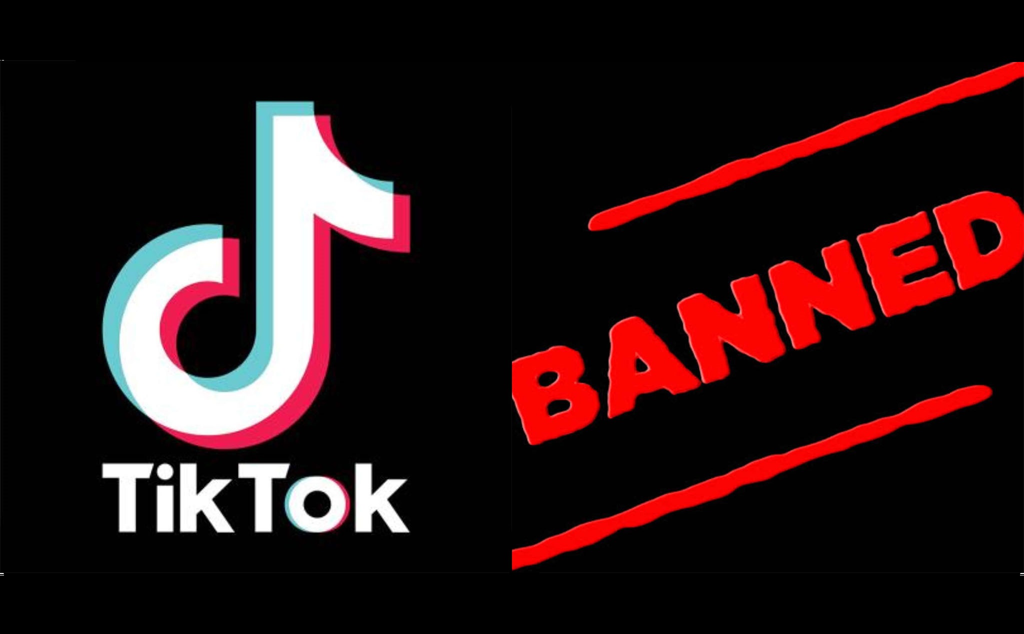 cover_tiktok banned india.jpg