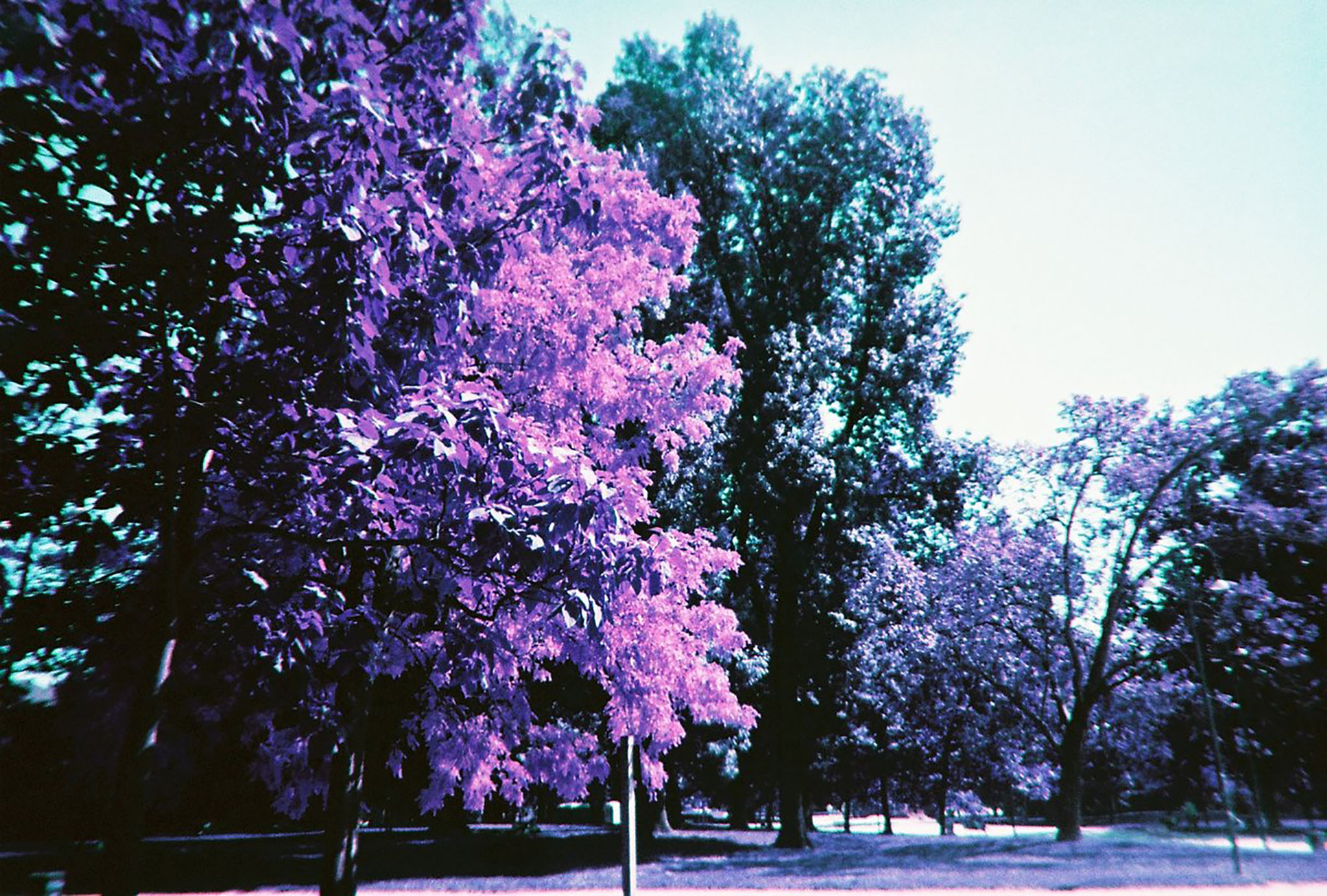 lomography-17.jpg