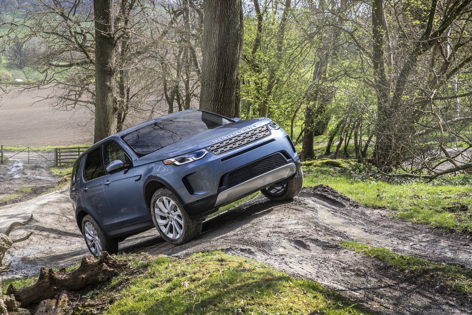2020-land-rover-discovery-sport-26.jpg