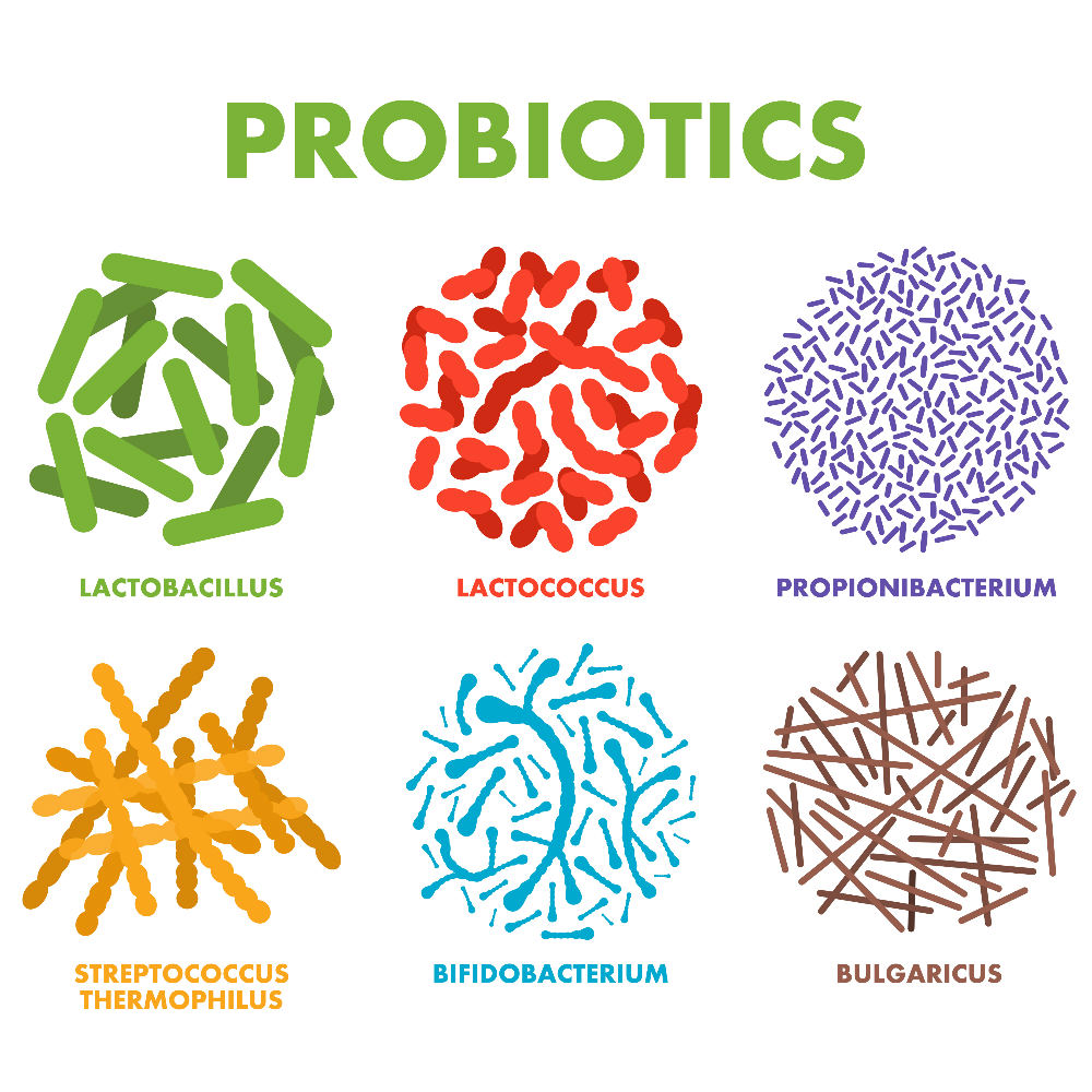 probiotics1.jpg