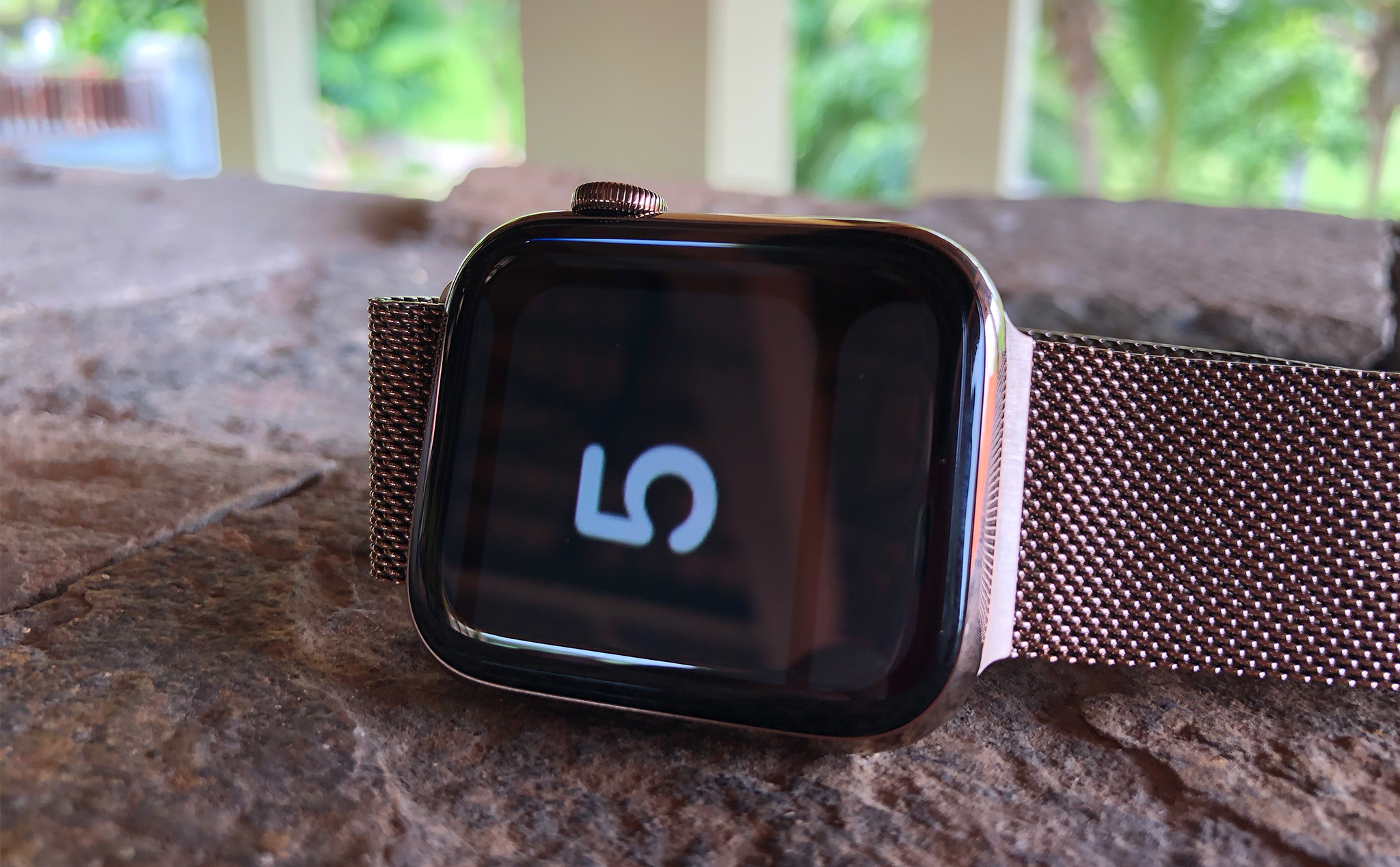 Điều chỉnh Zoom trên Apple Watch