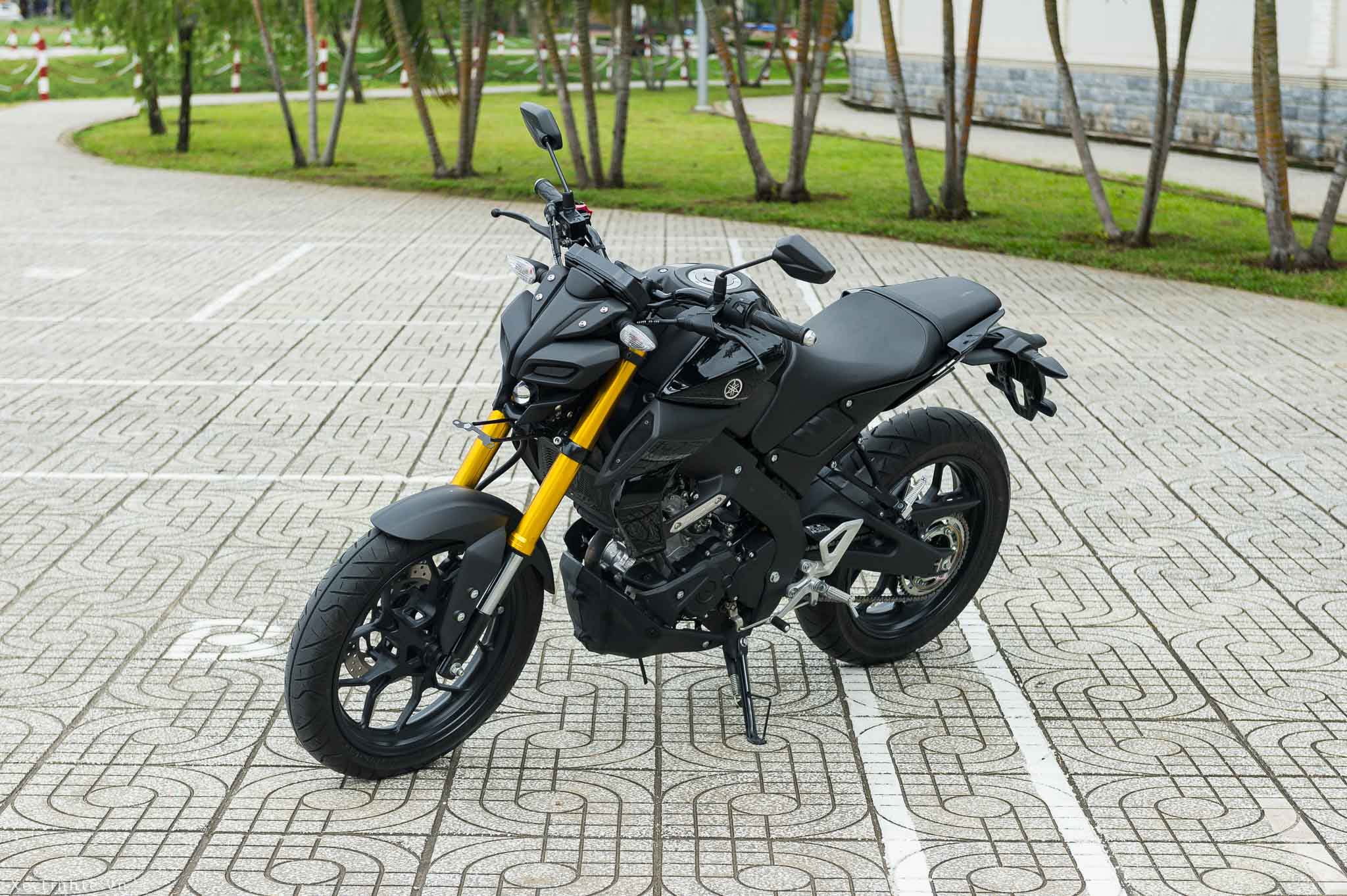 Yamaha_MT-15_2019_Xe_Tinhte (1).jpg