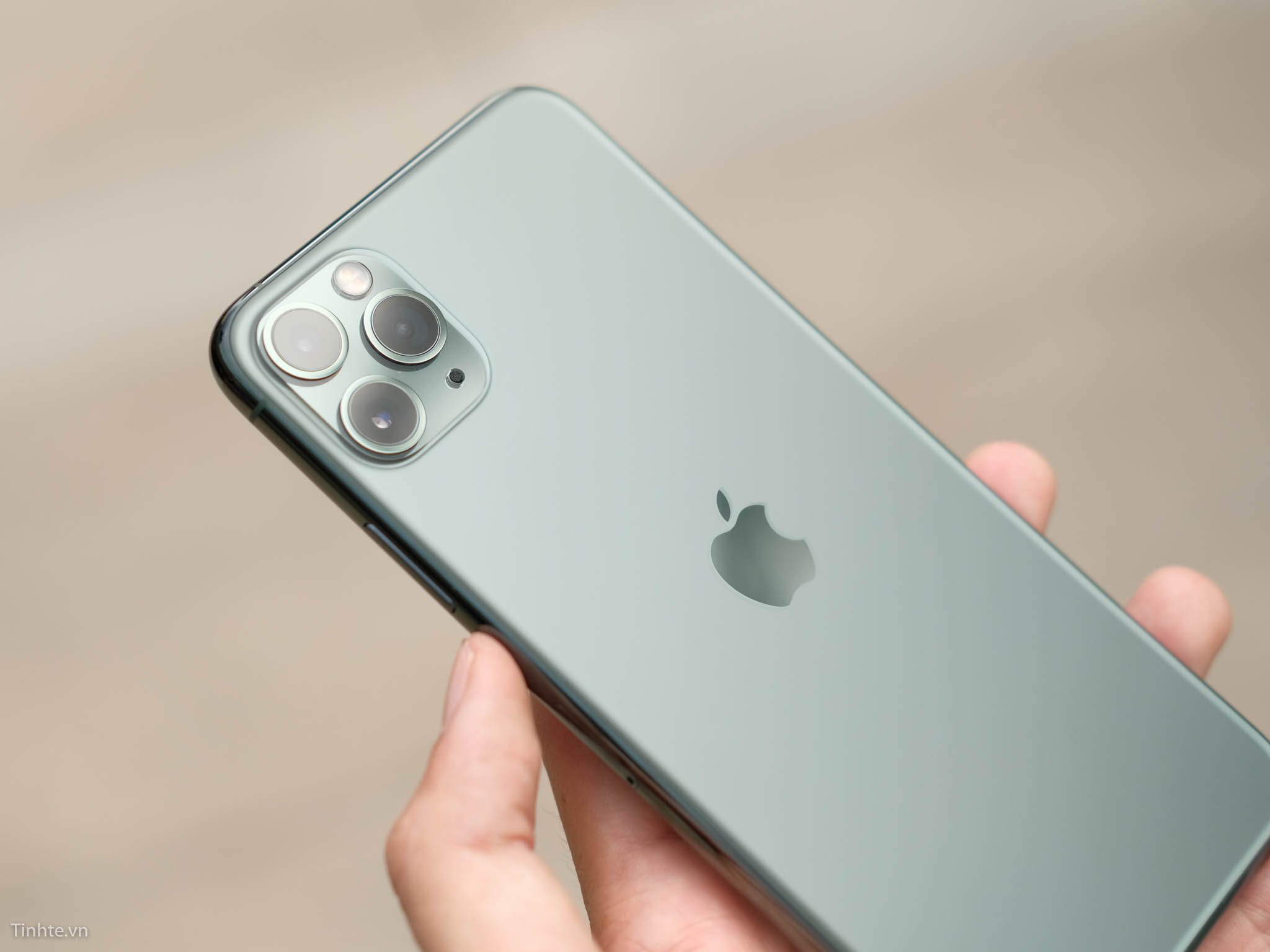 iPhone 11 Pro, 11 Pro Max có mấy màu được bán tại Việt Nam?