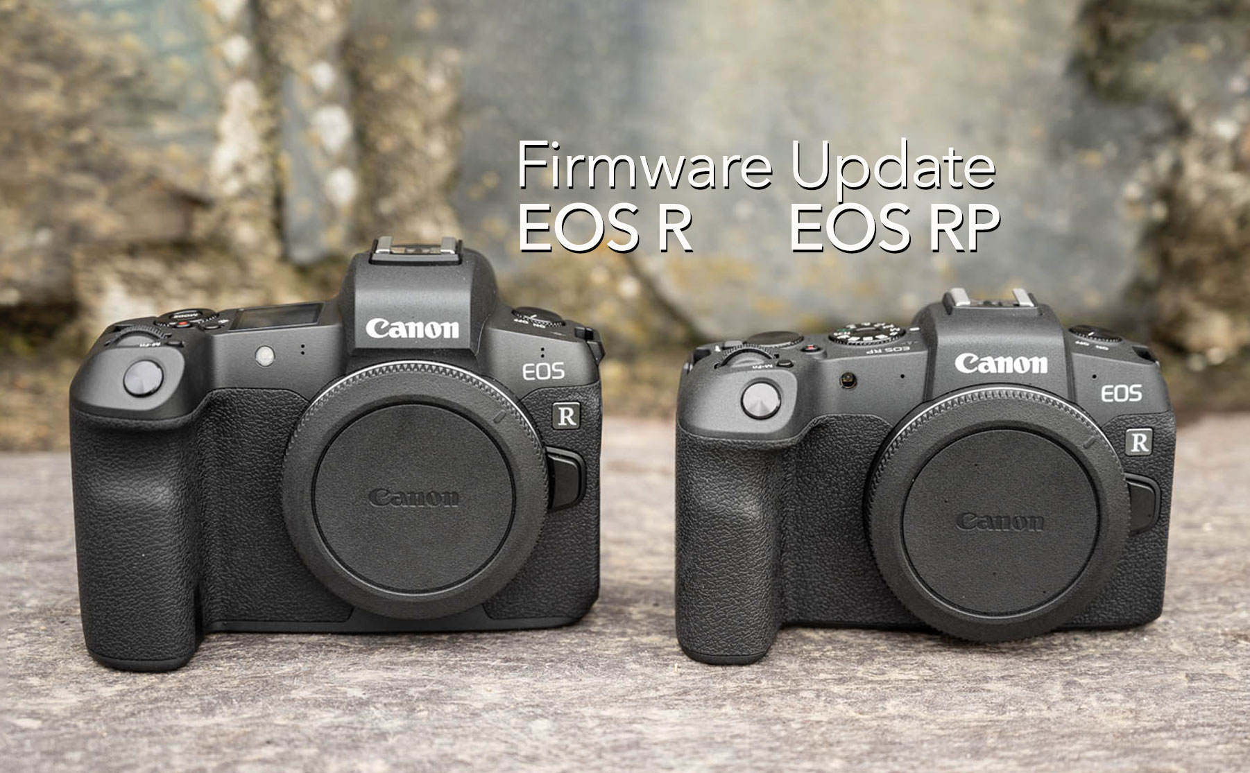 Cover-Canon-EOS-R-vs-RP.jpg