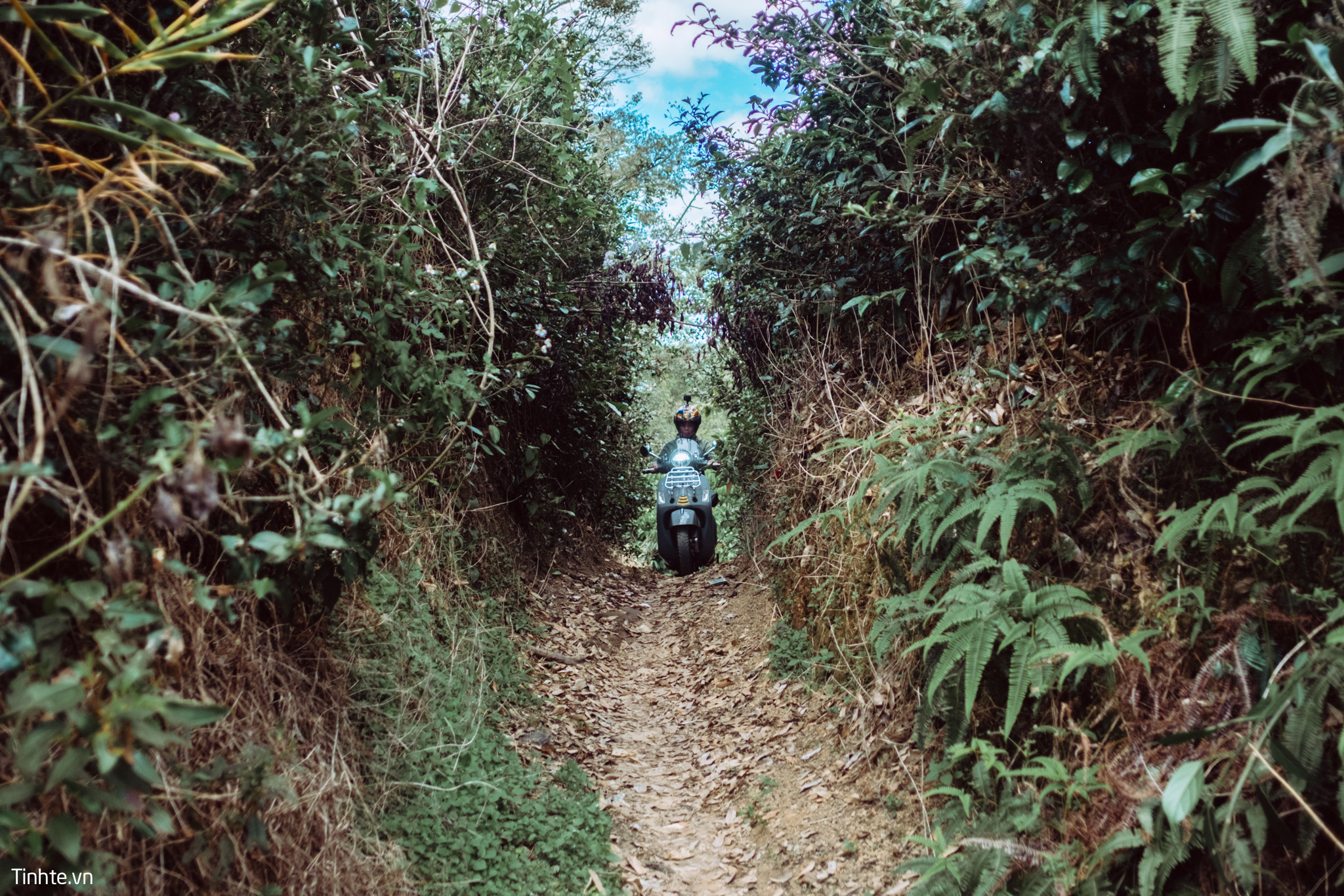 Vespa_SG_BL_DM-33.jpg