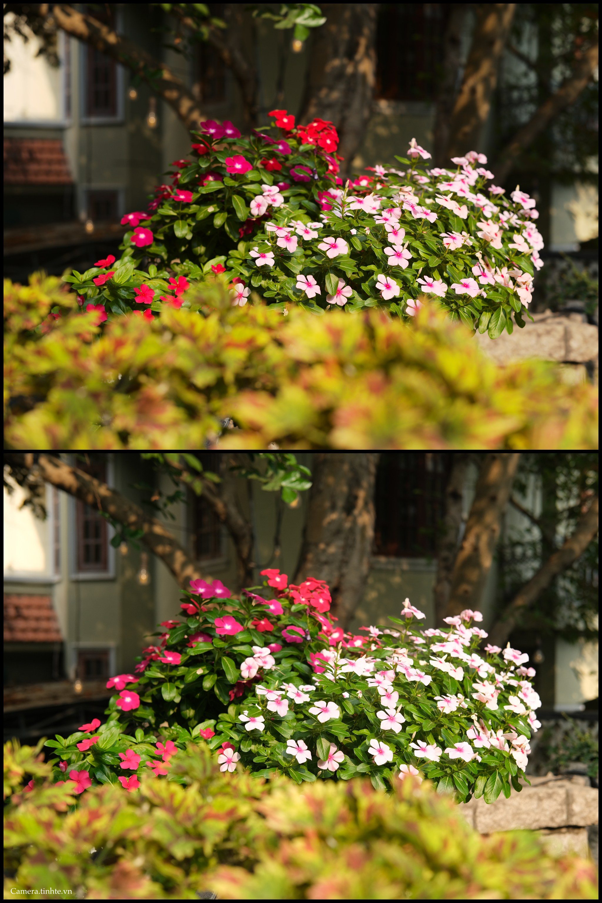 Fuji X-pro3 vs Leica M10_camera.tinhte.vn00006.jpg