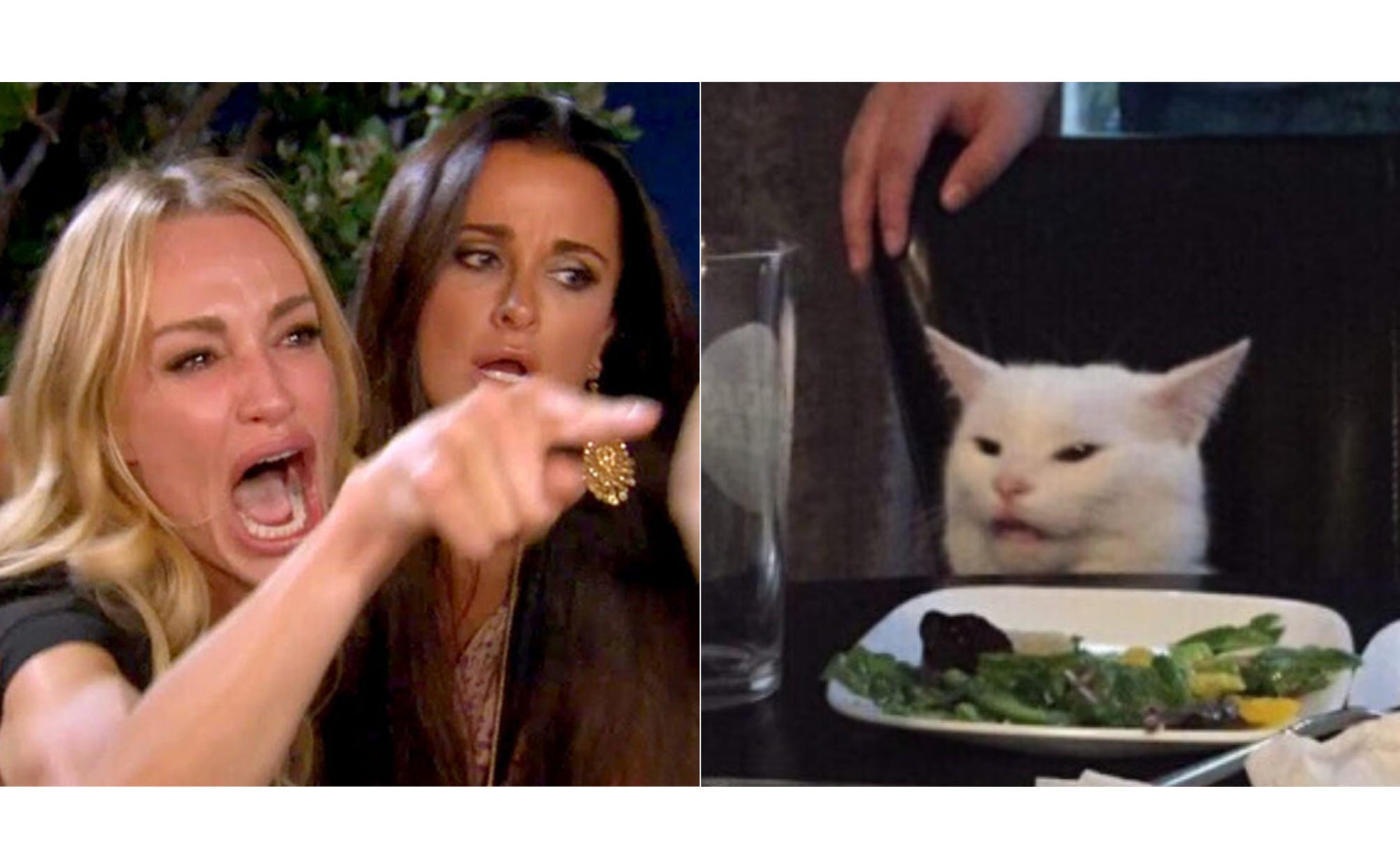 Woman yelling at cat